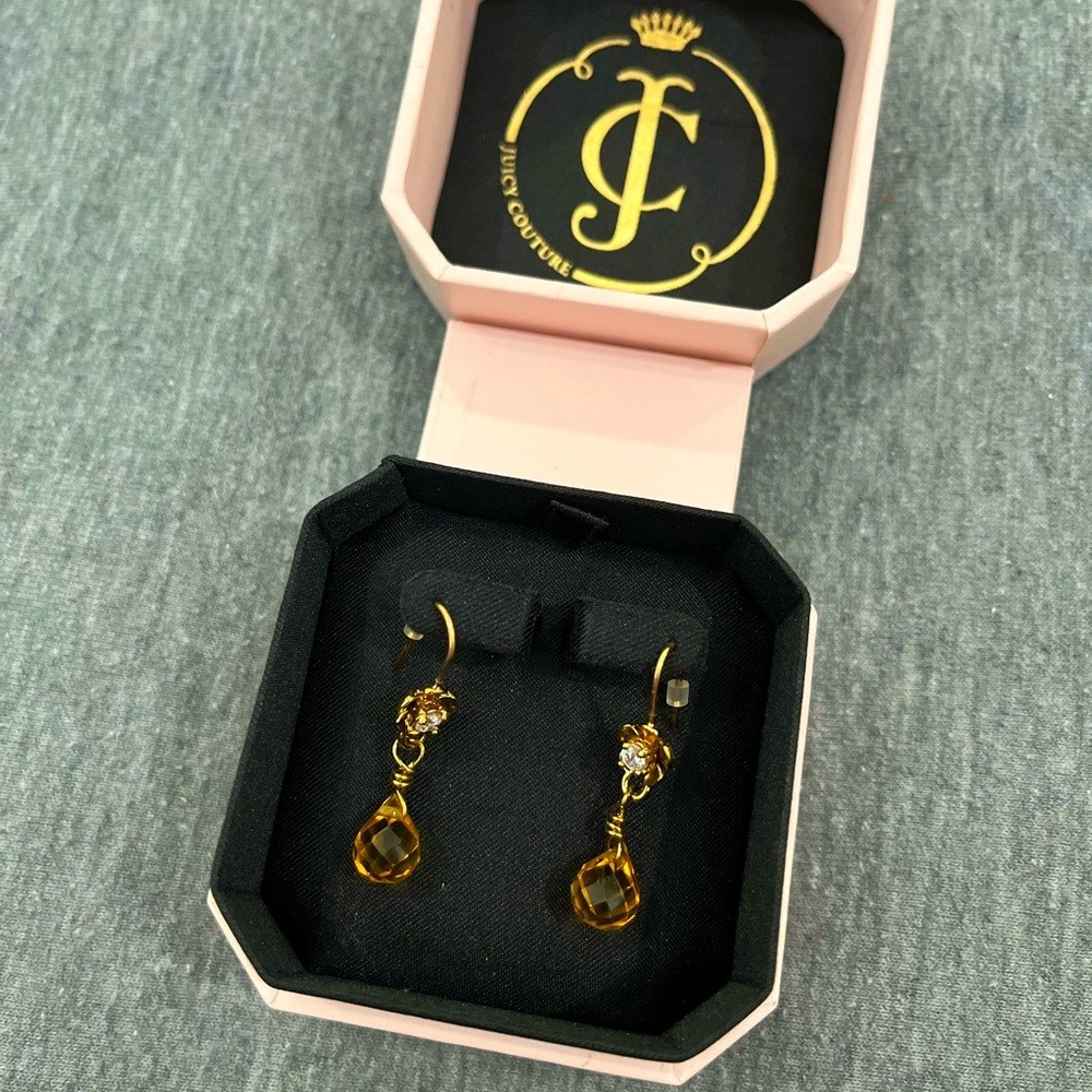 New in Box, Juicy Couture Earnings, Never Worn